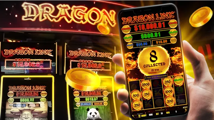 Authentic Live Casino Action